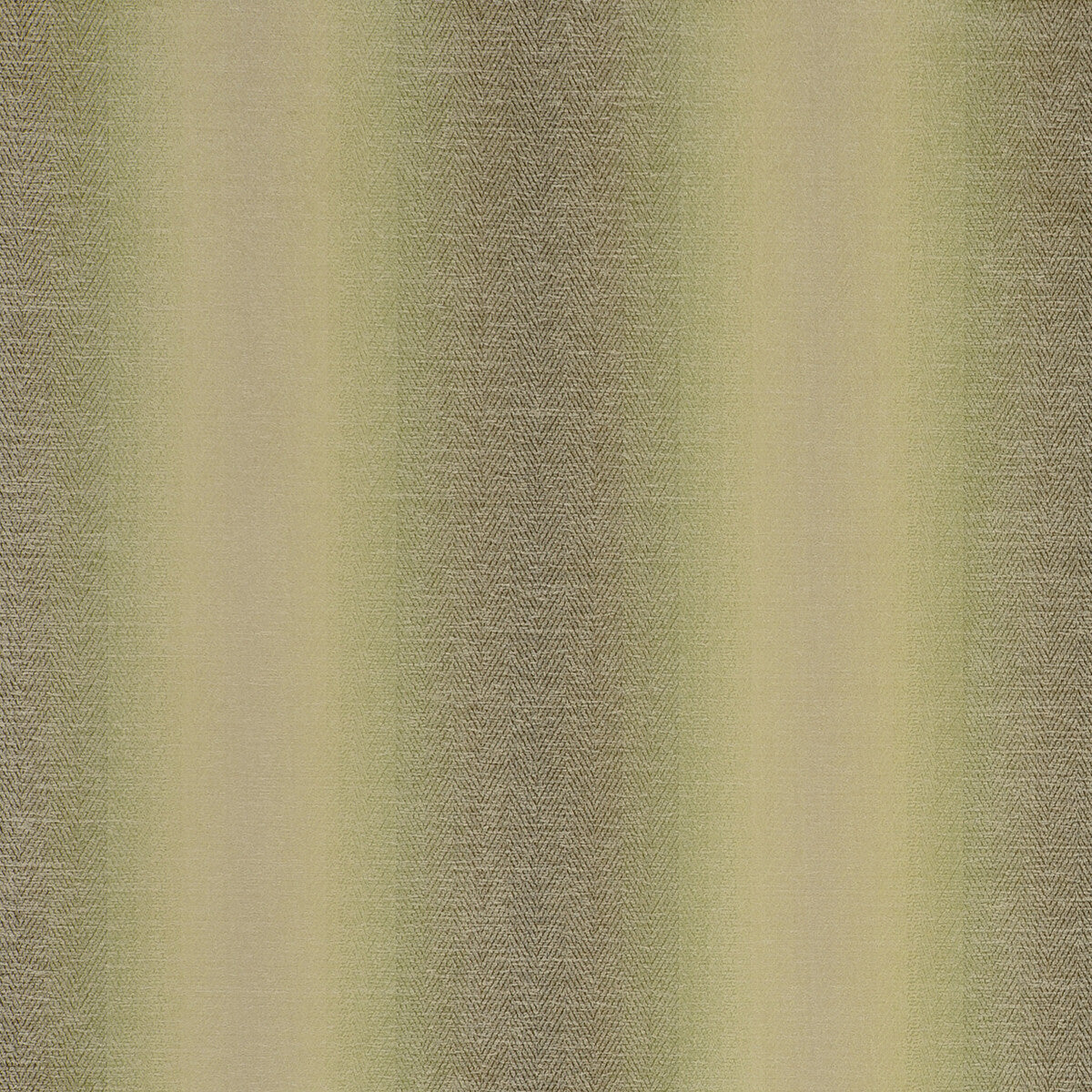 Antico fabric in olive color - pattern F0789/06.CAC.0 - by Clarke And Clarke in the Clarke & Clarke Palladio collection