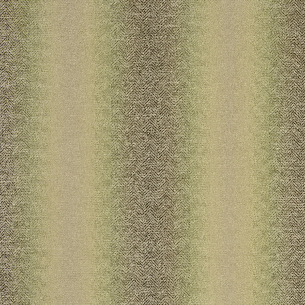 Antico fabric in olive color - pattern F0789/06.CAC.0 - by Clarke And Clarke in the Clarke &amp; Clarke Palladio collection