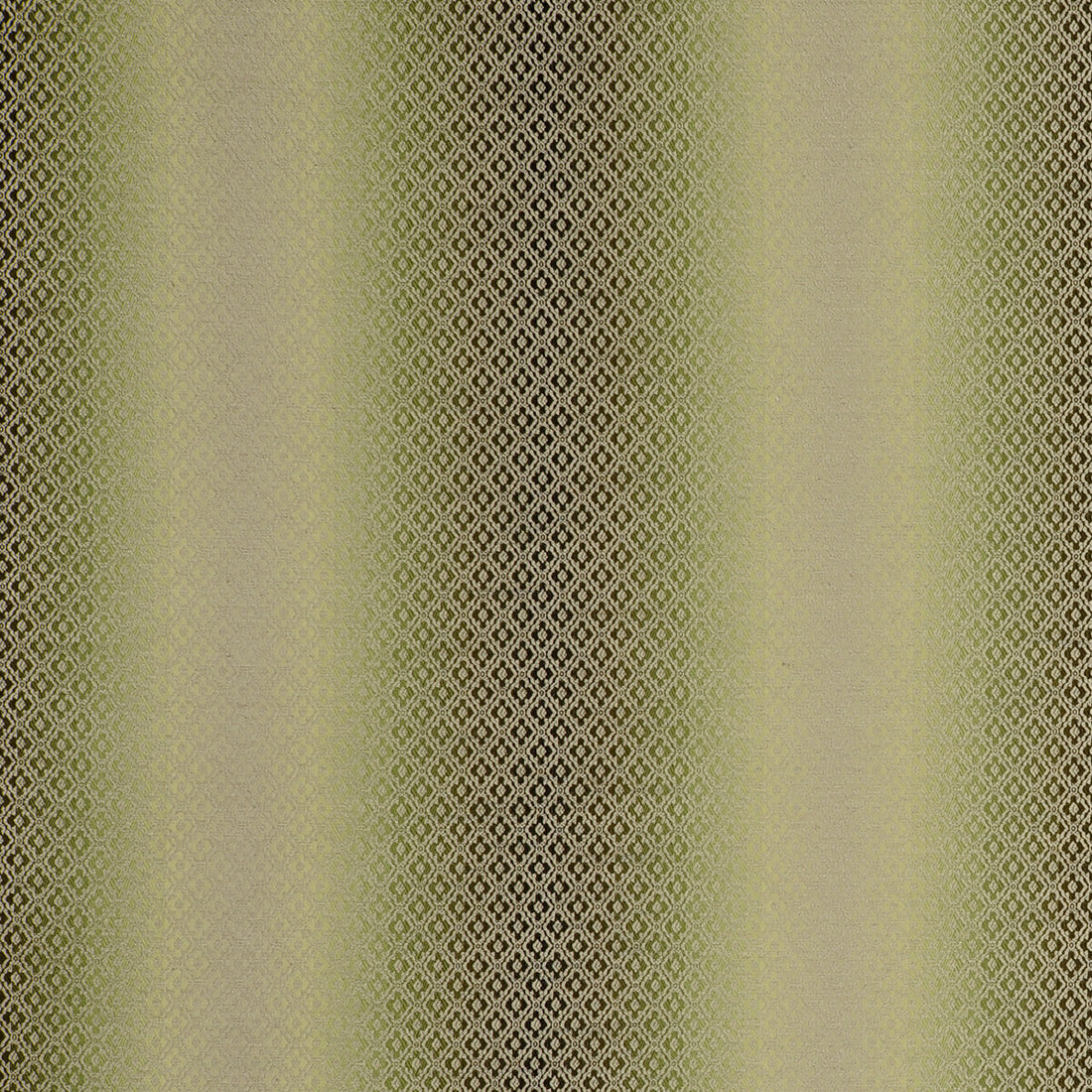 Diamante fabric in olive color - pattern F0790/06.CAC.0 - by Clarke And Clarke in the Clarke &amp; Clarke Palladio collection