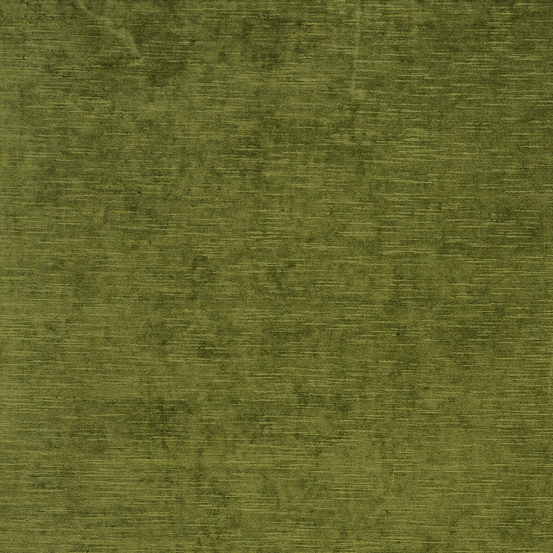 Carlo fabric in olive color - pattern F0793/05.CAC.0 - by Clarke And Clarke in the Clarke &amp; Clarke Palladio collection