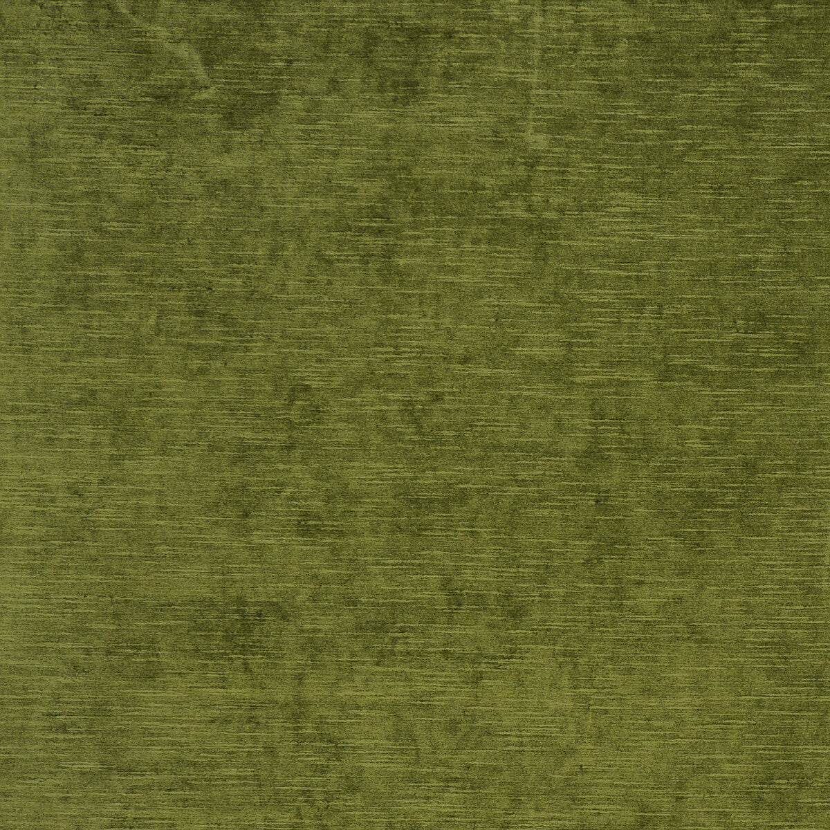 Carlo fabric in olive color - pattern F0793/05.CAC.0 - by Clarke And Clarke in the Clarke & Clarke Palladio collection