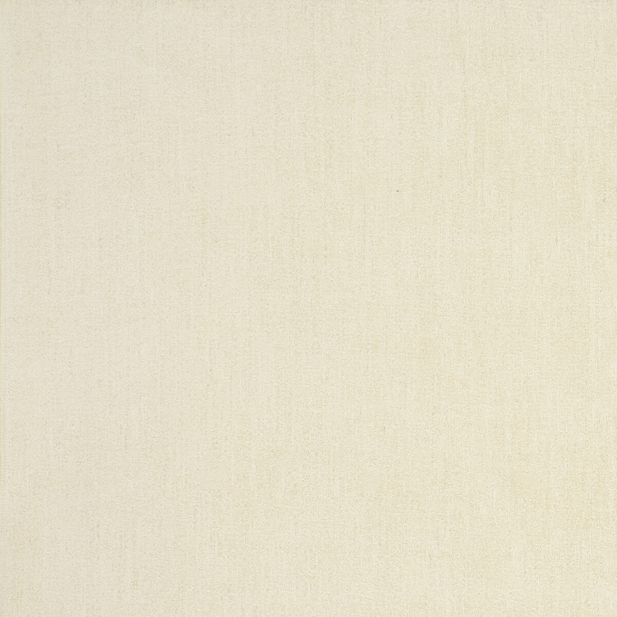 Nesa fabric in angora color - pattern F0795/01.CAC.0 - by Clarke And Clarke in the Clarke & Clarke Anatolia collection