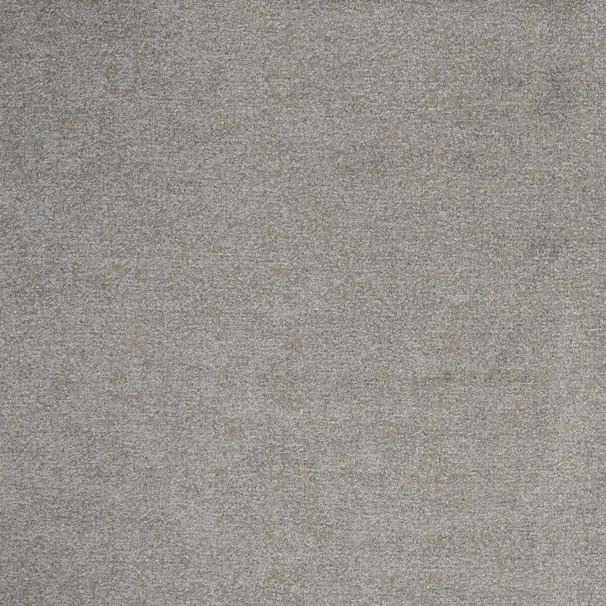 Nesa fabric in dove color - pattern F0795/03.CAC.0 - by Clarke And Clarke in the Clarke & Clarke Anatolia collection