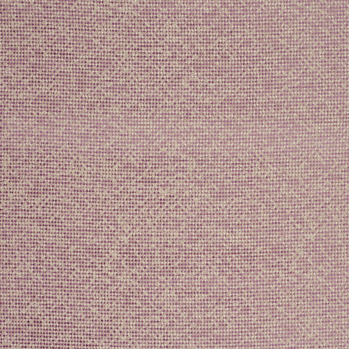 Beauvoir fabric in orchid color - pattern F0804/05.CAC.0 - by Clarke And Clarke in the Clarke & Clarke Latour collection