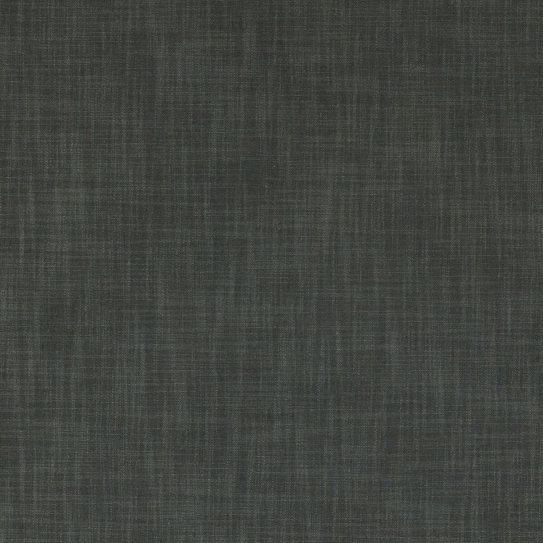 Vienna fabric in charcoal color - pattern F0847/09.CAC.0 - by Clarke And Clarke in the Clarke &amp; Clarke Vienna collection