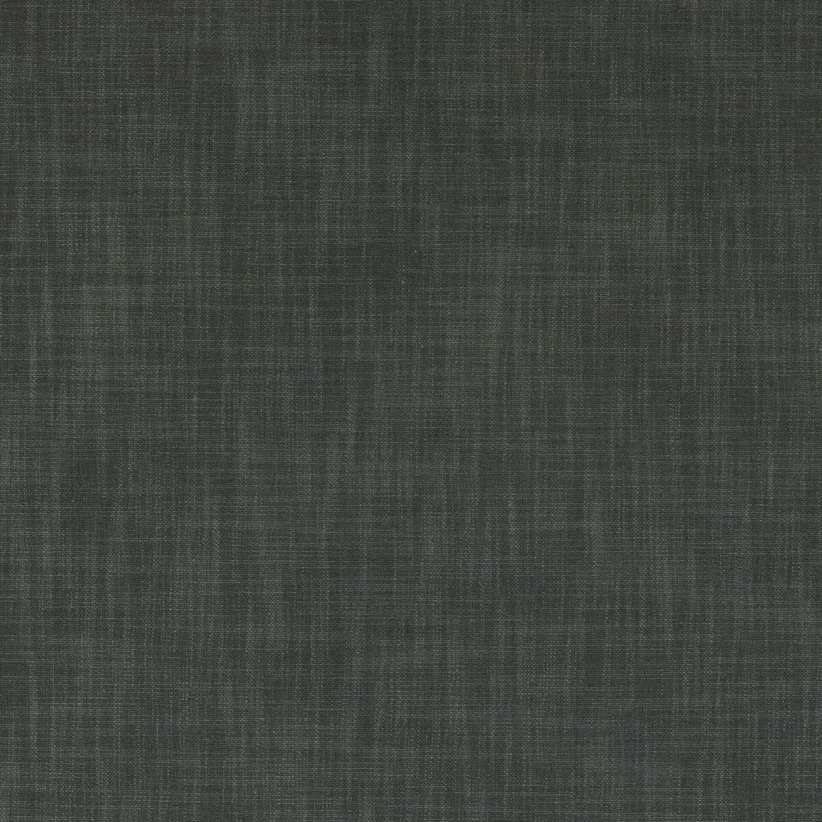 Vienna fabric in charcoal color - pattern F0847/09.CAC.0 - by Clarke And Clarke in the Clarke & Clarke Vienna collection