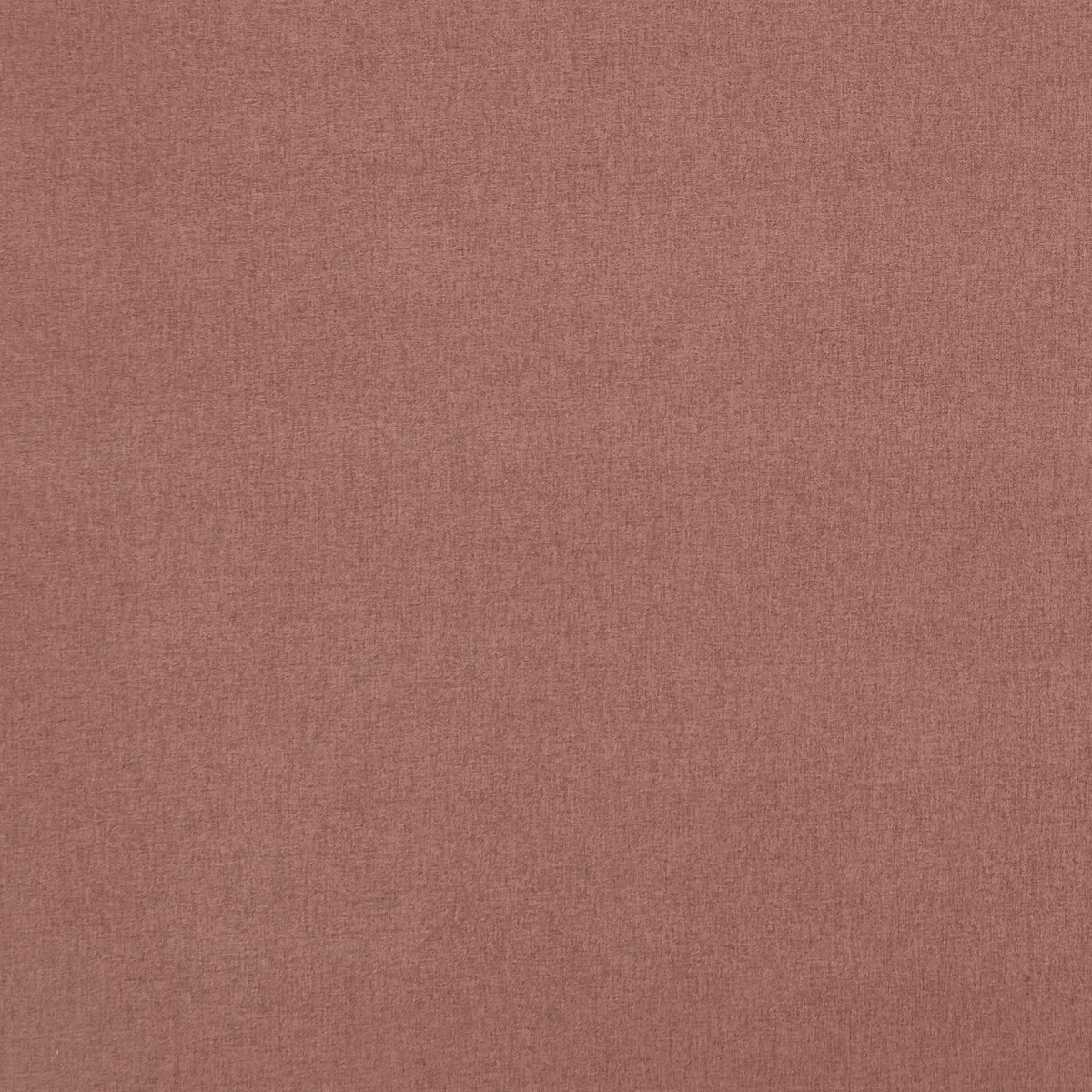 Highlander fabric in cameo color - pattern F0848/04.CAC.0 - by Clarke And Clarke in the Clarke & Clarke Highlander collection