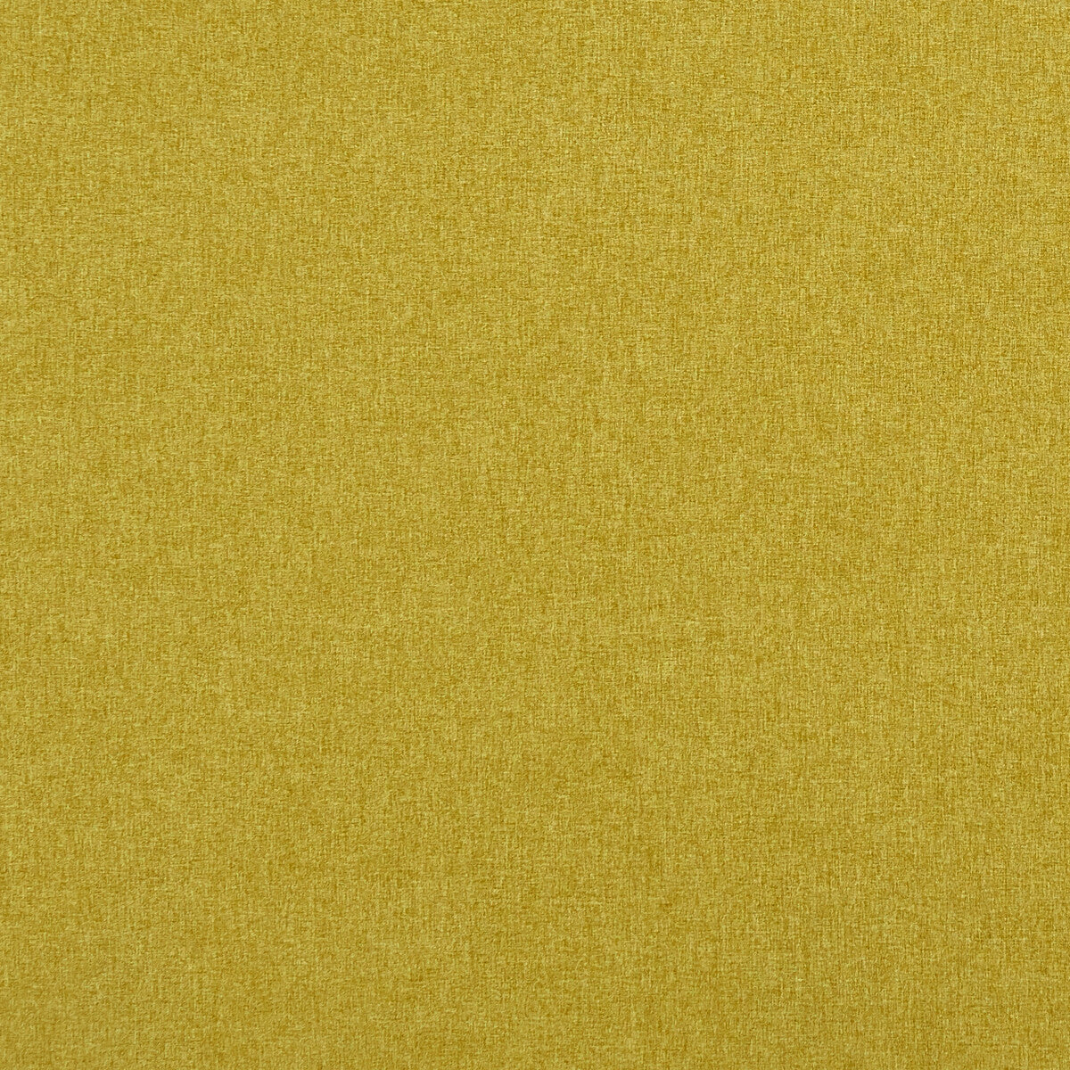 Highlander fabric in palm color - pattern F0848/24.CAC.0 - by Clarke And Clarke in the Clarke & Clarke Highlander collection