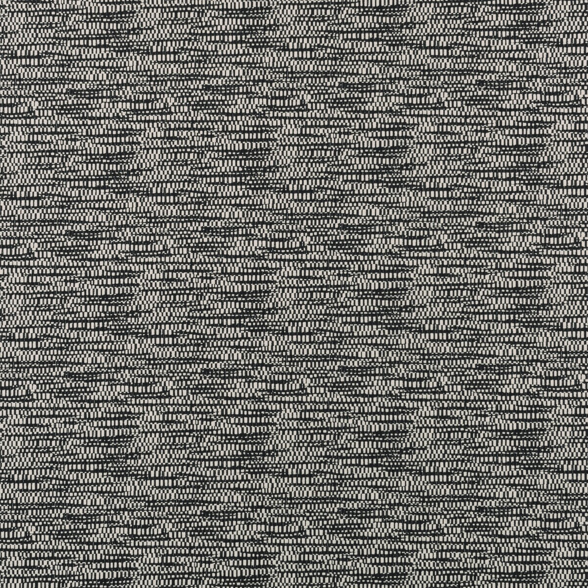 Bw1001 fabric in black/white color - pattern F0873/01.CAC.0 - by Clarke And Clarke in the Clarke & Clarke Black + White collection