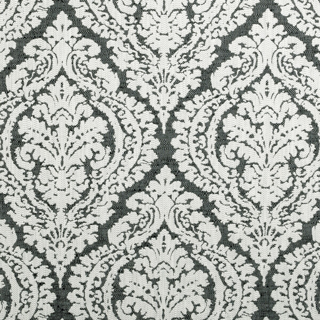 Bw1004 fabric in black/white color - pattern F0876/01.CAC.0 - by Clarke And Clarke in the Clarke &amp; Clarke Black + White collection