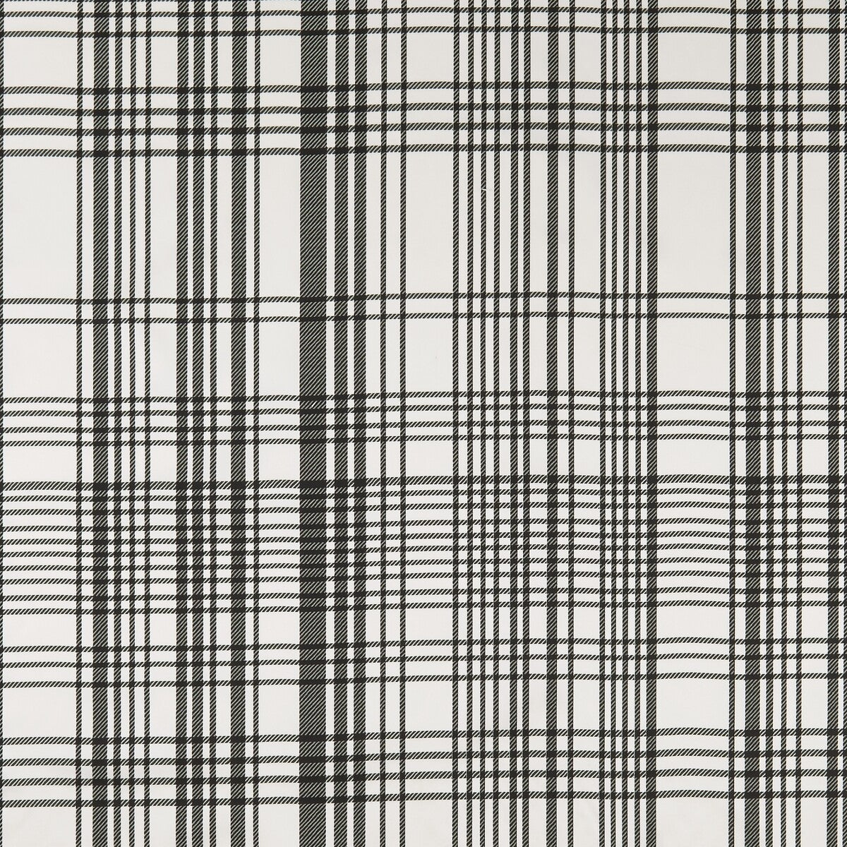 Bw1006 fabric in black/white color - pattern F0878/01.CAC.0 - by Clarke And Clarke in the Clarke & Clarke Black + White collection