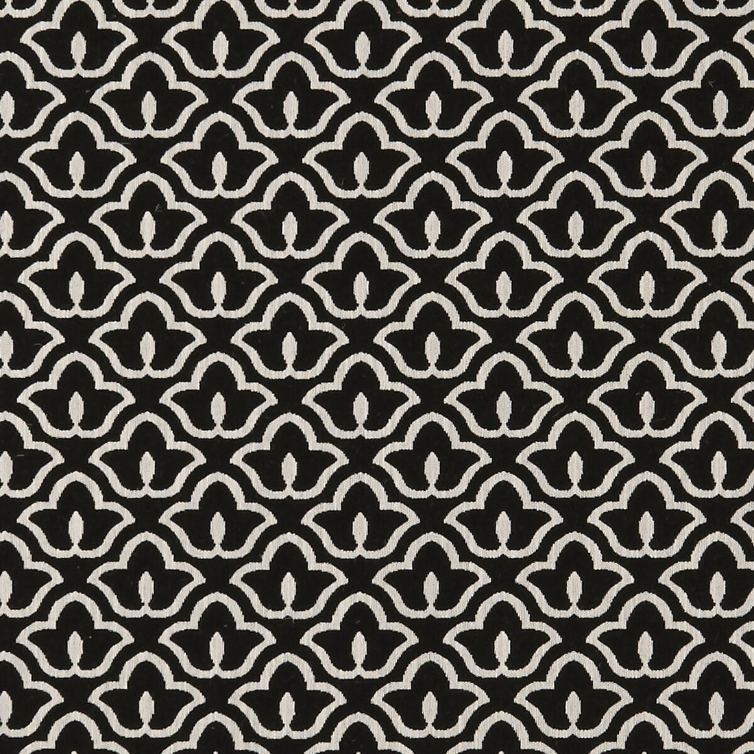 Bw1014 fabric in black/white color - pattern F0887/01.CAC.0 - by Clarke And Clarke in the Clarke &amp; Clarke Black + White collection