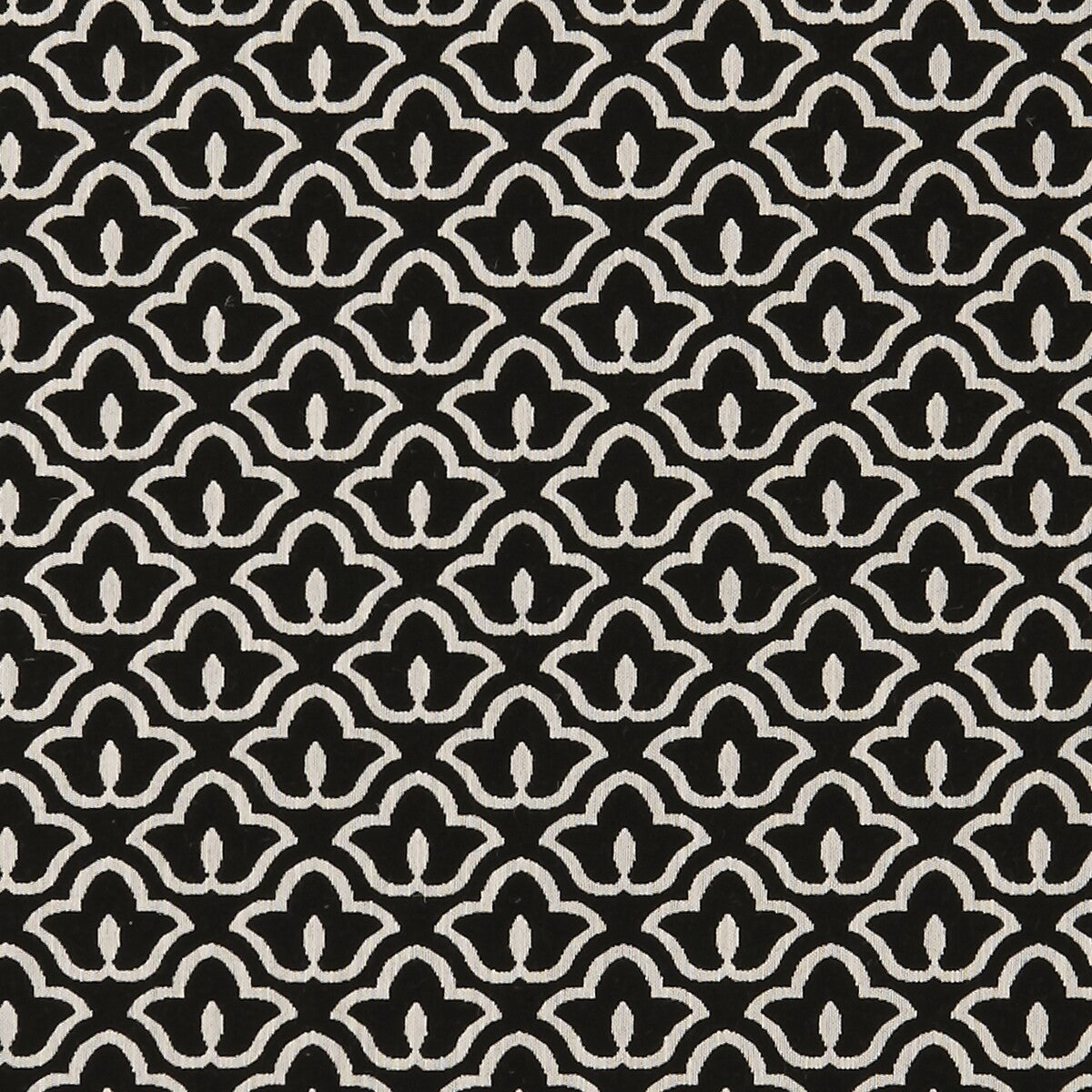 Bw1014 fabric in black/white color - pattern F0887/01.CAC.0 - by Clarke And Clarke in the Clarke & Clarke Black + White collection