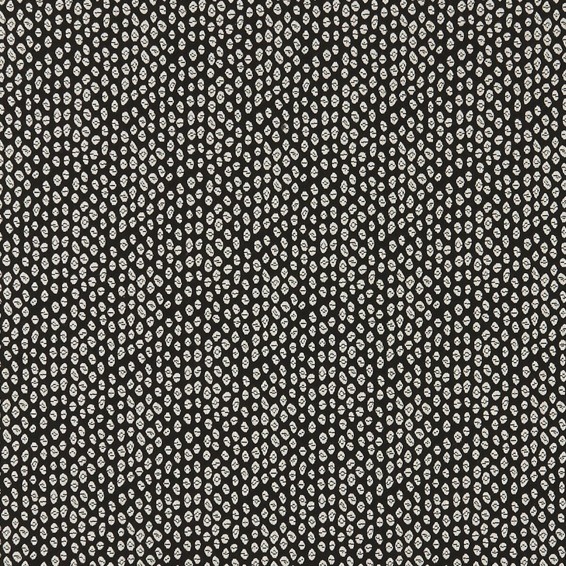 Bw1015 fabric in black/white color - pattern F0888/01.CAC.0 - by Clarke And Clarke in the Clarke &amp; Clarke Black + White collection