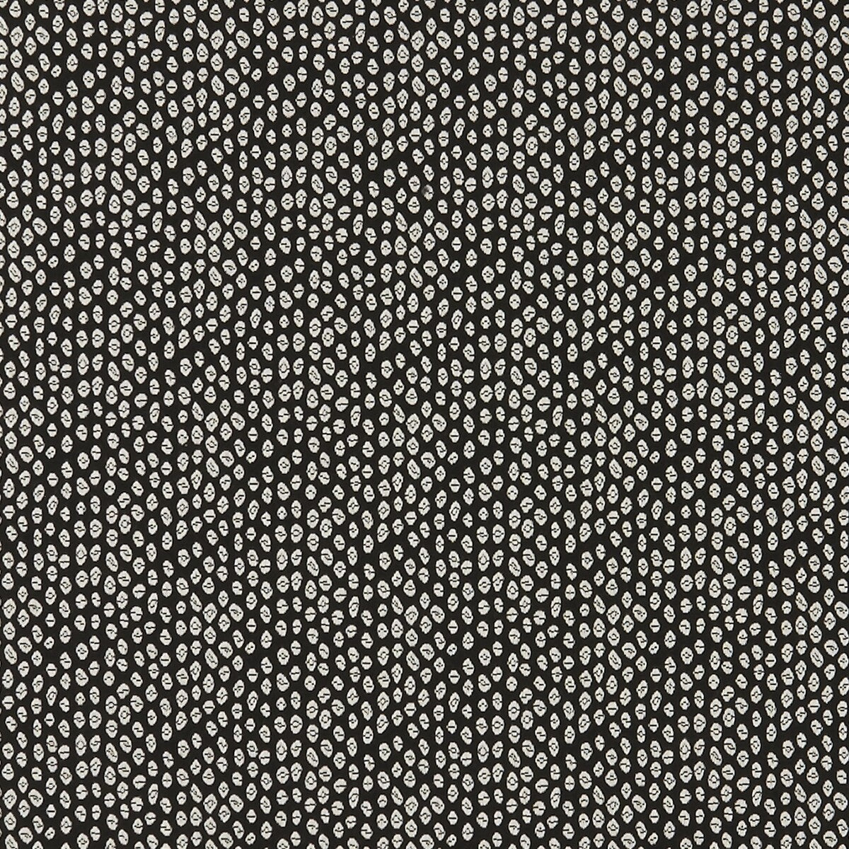 Bw1015 fabric in black/white color - pattern F0888/01.CAC.0 - by Clarke And Clarke in the Clarke & Clarke Black + White collection