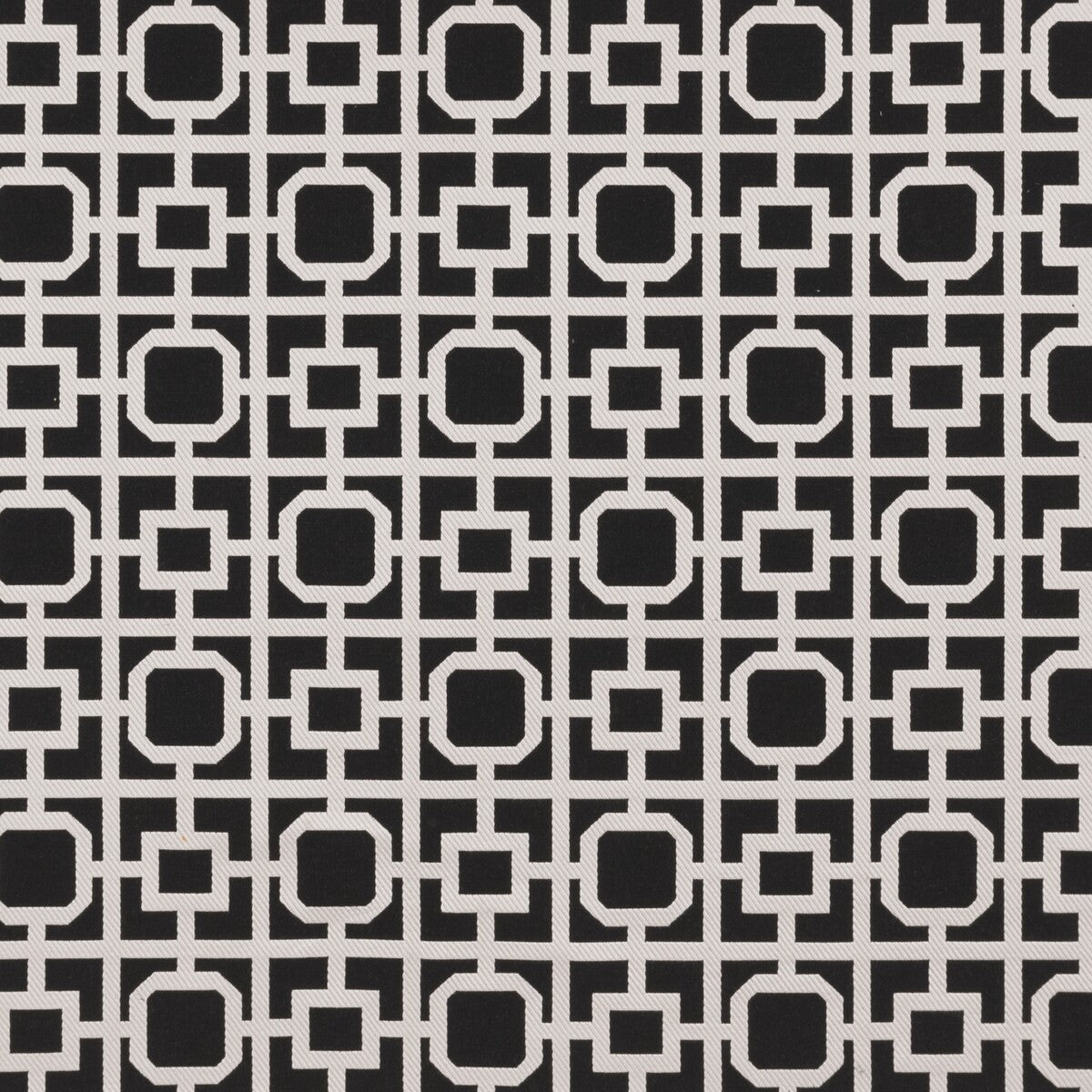 Bw1017 fabric in black/white color - pattern F0890/01.CAC.0 - by Clarke And Clarke in the Clarke & Clarke Black + White collection