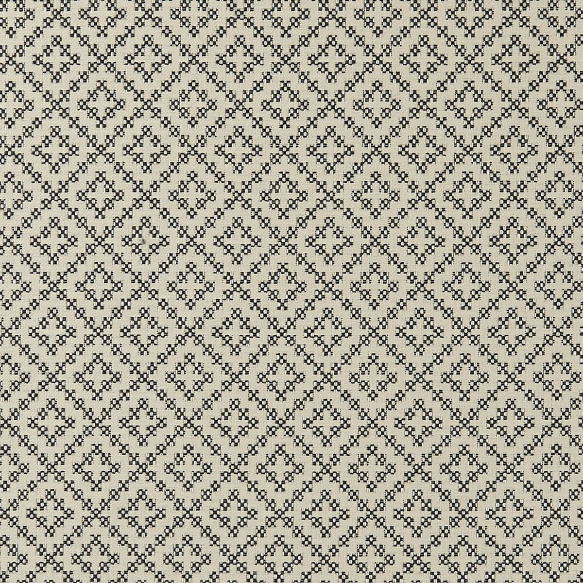 Bw1021 fabric in black/white color - pattern F0894/01.CAC.0 - by Clarke And Clarke in the Clarke & Clarke Black + White collection