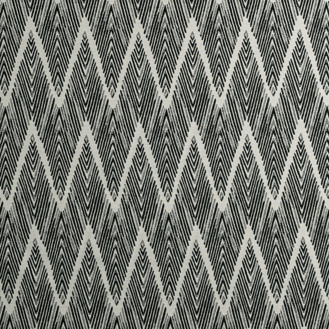 Bw1022 fabric in black/white color - pattern F0895/01.CAC.0 - by Clarke And Clarke in the Clarke &amp; Clarke Black + White collection