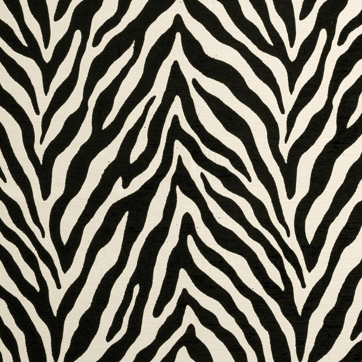 Bw1029 fabric in black/white color - pattern F0902/01.CAC.0 - by Clarke And Clarke in the Clarke & Clarke Black + White collection