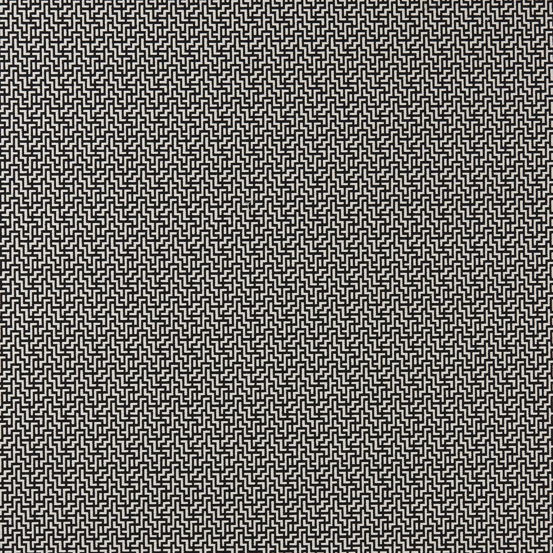 Bw1030 fabric in black/white color - pattern F0903/01.CAC.0 - by Clarke And Clarke in the Clarke &amp; Clarke Black + White collection
