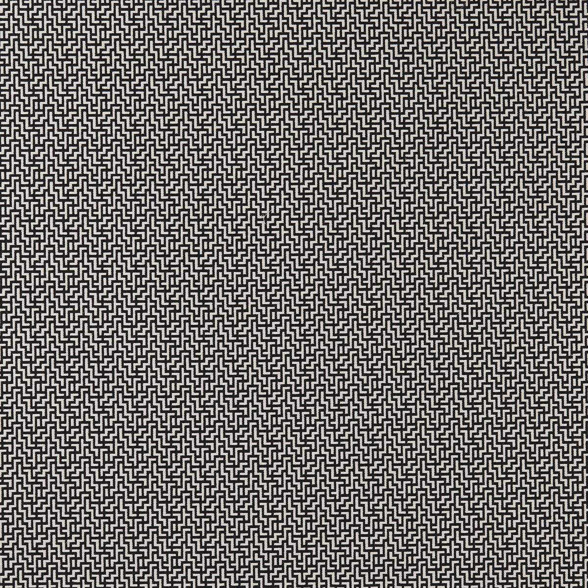 Bw1030 fabric in black/white color - pattern F0903/01.CAC.0 - by Clarke And Clarke in the Clarke & Clarke Black + White collection