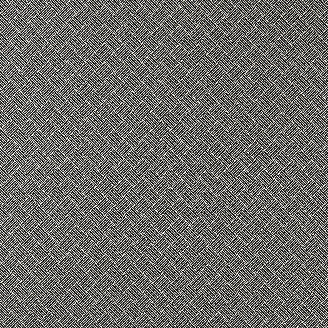 Bw1031 fabric in black/white color - pattern F0904/01.CAC.0 - by Clarke And Clarke in the Clarke &amp; Clarke Black + White collection