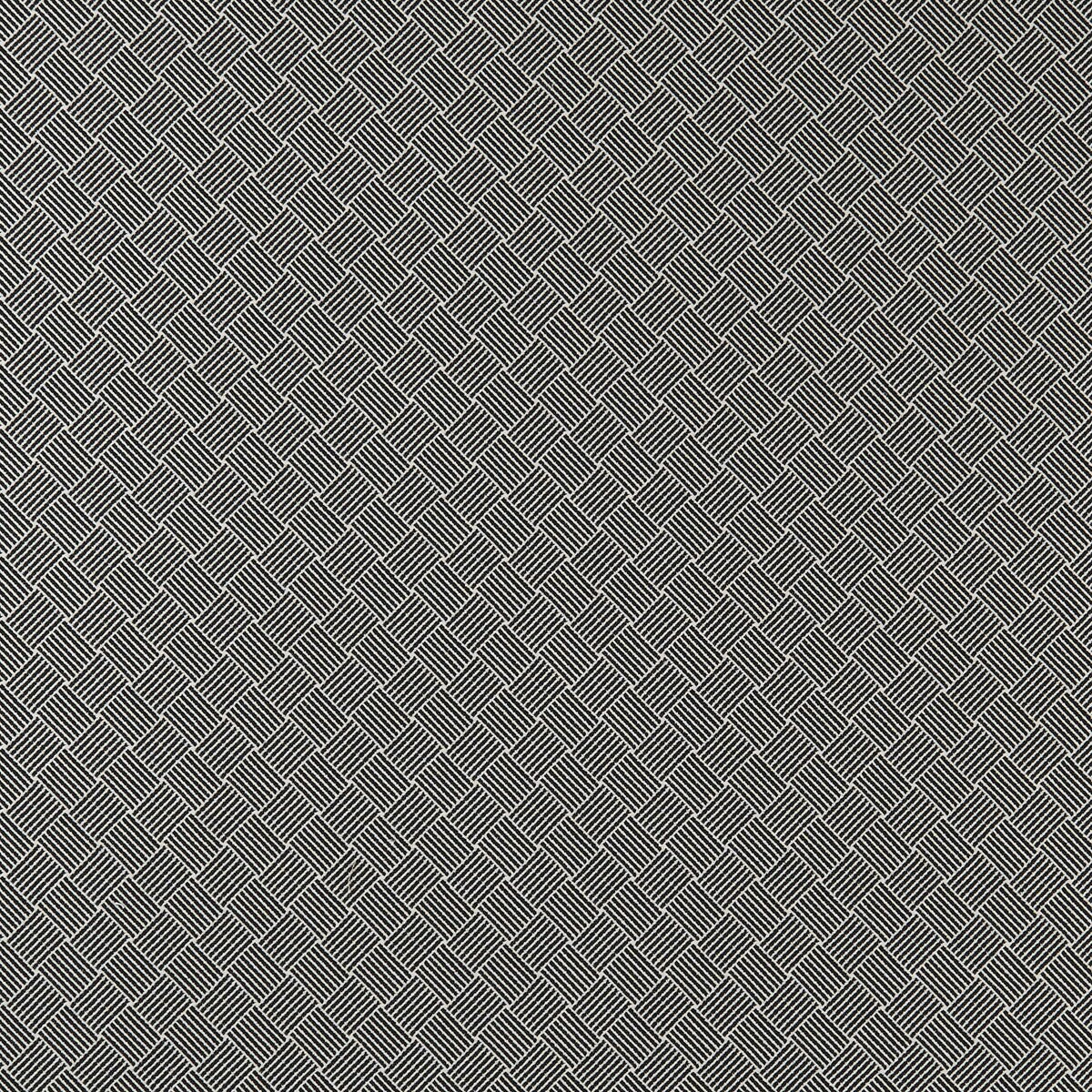 Bw1031 fabric in black/white color - pattern F0904/01.CAC.0 - by Clarke And Clarke in the Clarke & Clarke Black + White collection