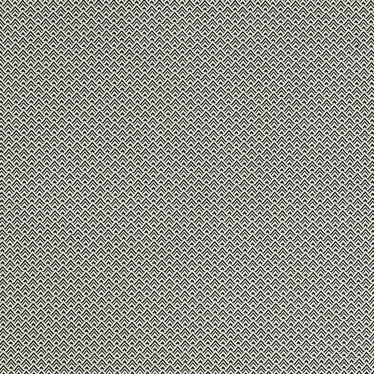 Bw1032 fabric in black/white color - pattern F0905/01.CAC.0 - by Clarke And Clarke in the Clarke & Clarke Black + White collection