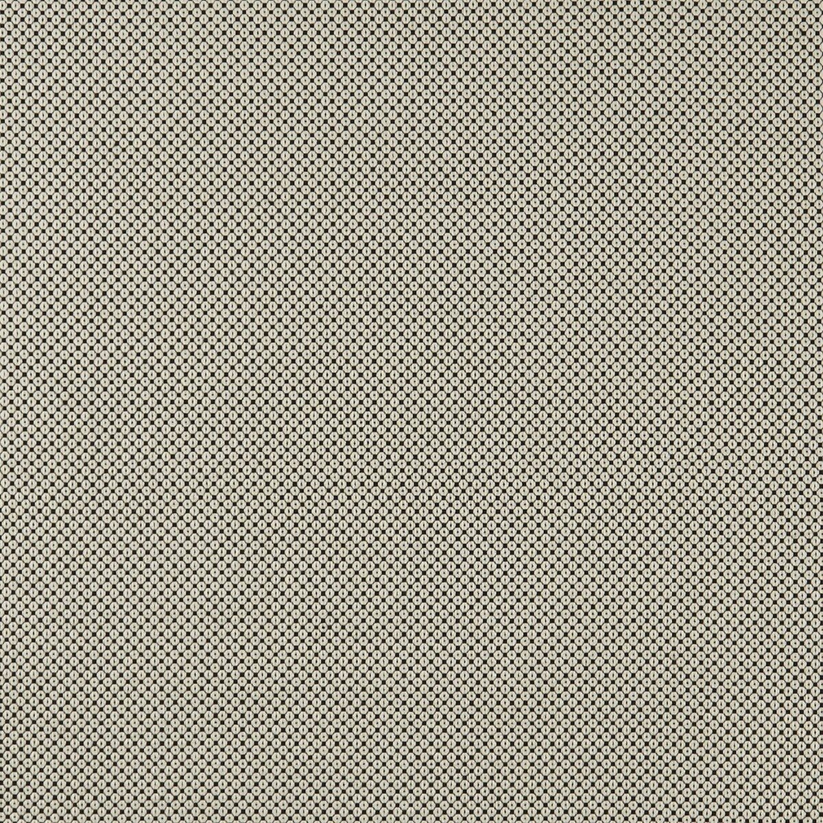 Bw1033 fabric in black/white color - pattern F0906/01.CAC.0 - by Clarke And Clarke in the Clarke & Clarke Black + White collection