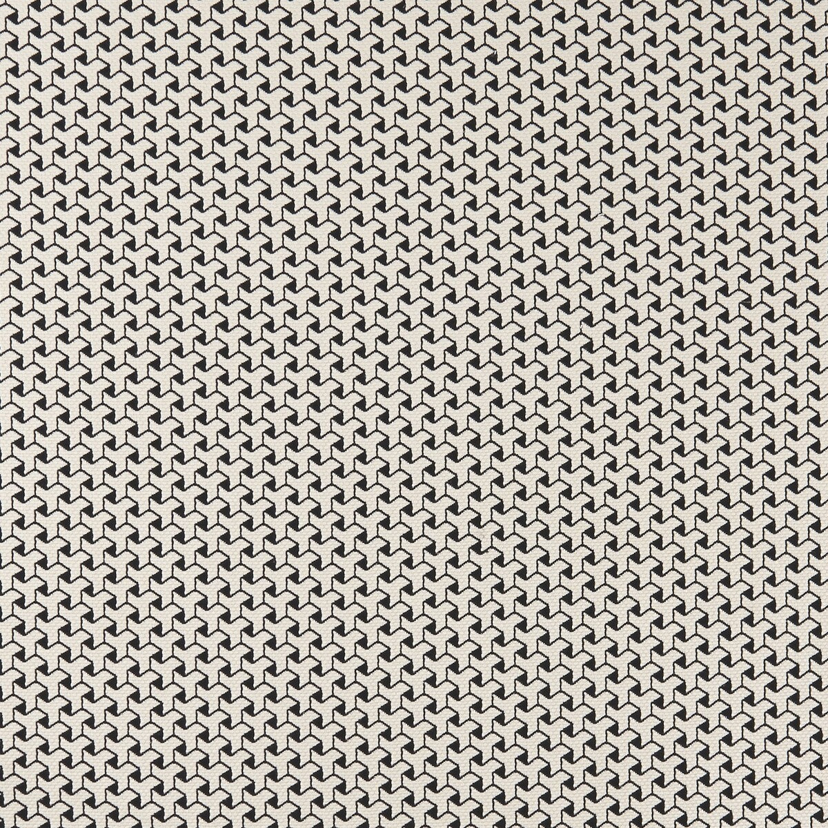 Bw1034 fabric in black/white color - pattern F0907/01.CAC.0 - by Clarke And Clarke in the Clarke & Clarke Black + White collection