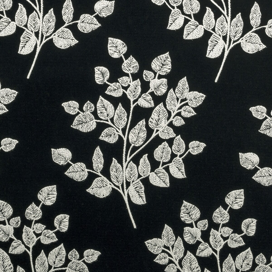Bw1036 fabric in black/white color - pattern F0909/01.CAC.0 - by Clarke And Clarke in the Clarke &amp; Clarke Black + White collection