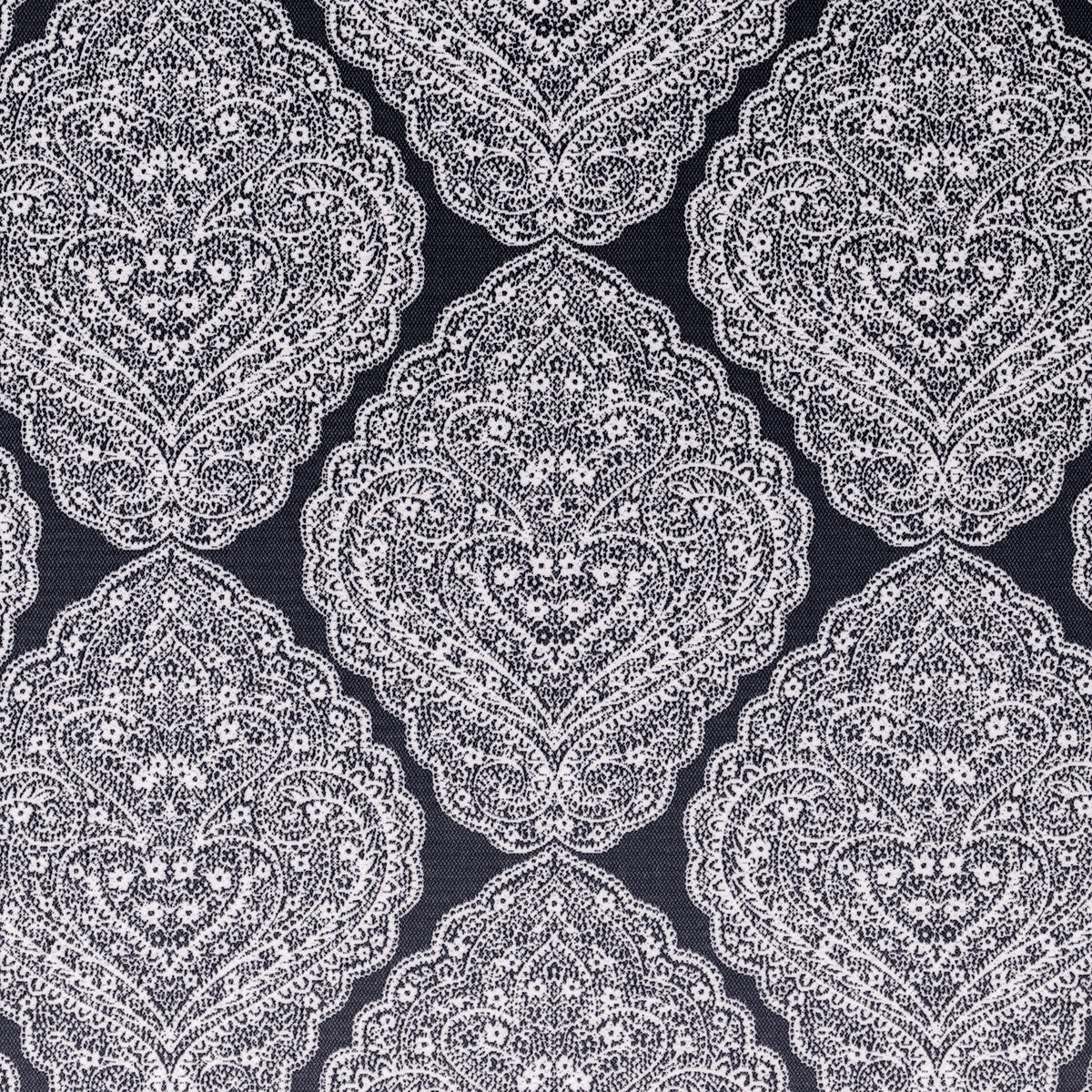 Bw1037 fabric in black/white color - pattern F0910/01.CAC.0 - by Clarke And Clarke in the Clarke & Clarke Black + White collection
