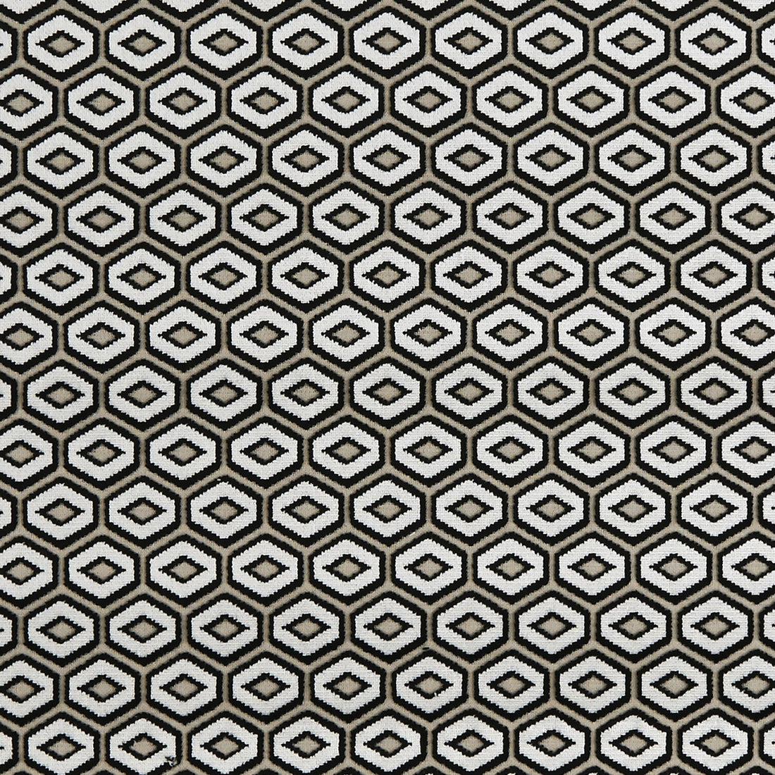 Bw1041 fabric in black/white color - pattern F0943/01.CAC.0 - by Clarke And Clarke in the Clarke &amp; Clarke Black + White collection