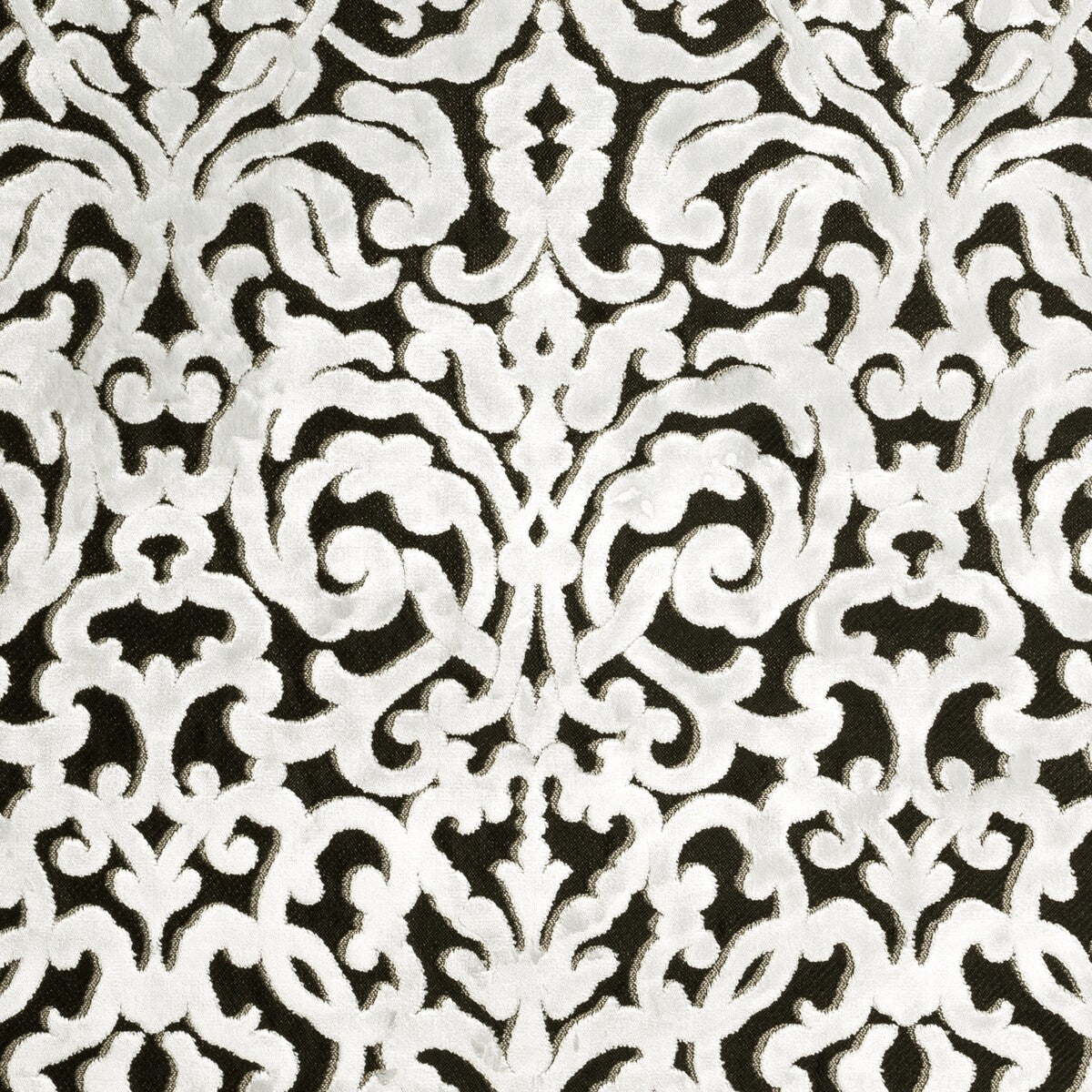 Bw1043 fabric in black/white color - pattern F0945/01.CAC.0 - by Clarke And Clarke in the Clarke & Clarke Black + White collection