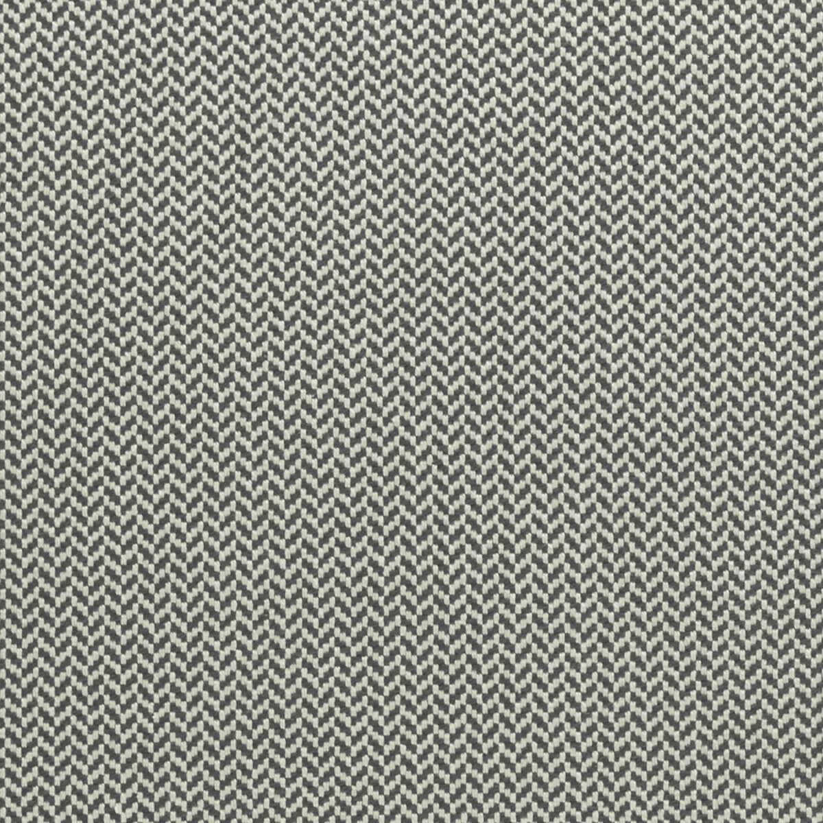 Zalika fabric in charcoal color - pattern F0963/01.CAC.0 - by Clarke And Clarke in the Clarke & Clarke Amara collection