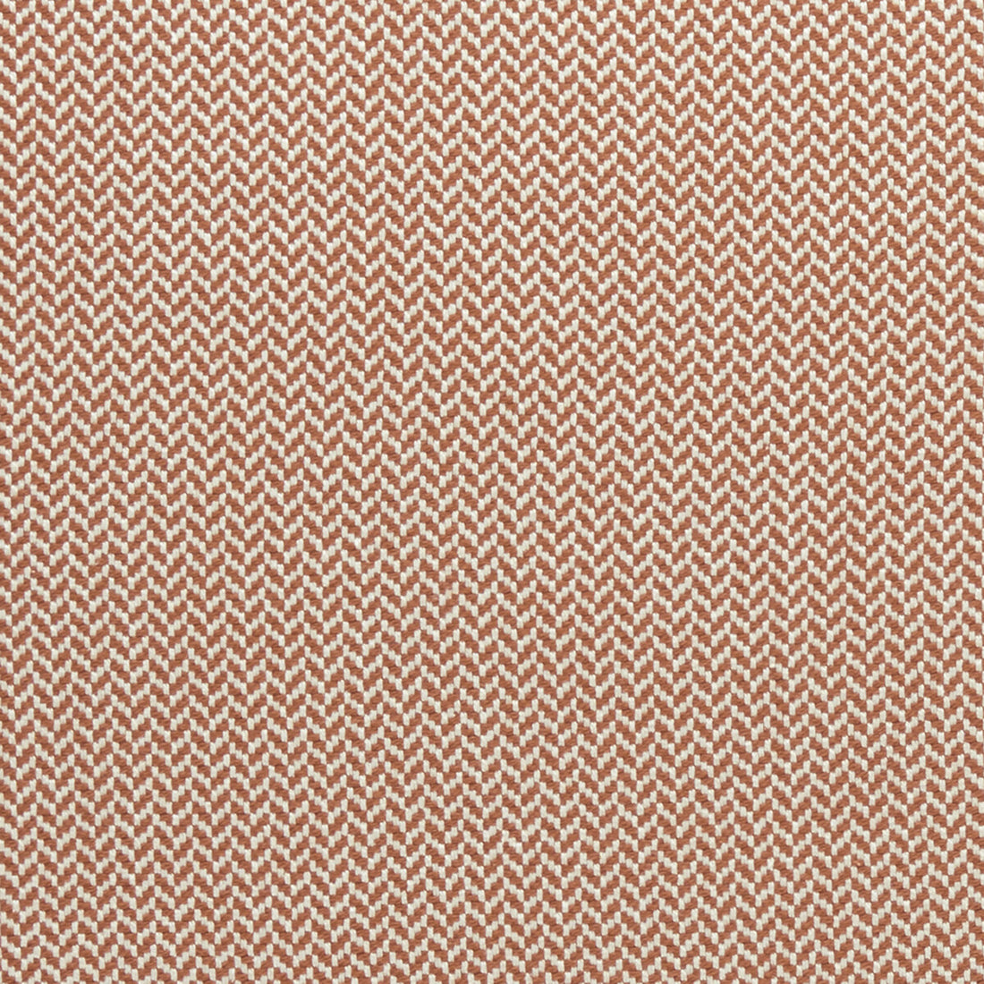 Zalika fabric in cinnabar color - pattern F0963/02.CAC.0 - by Clarke And Clarke in the Clarke &amp; Clarke Amara collection