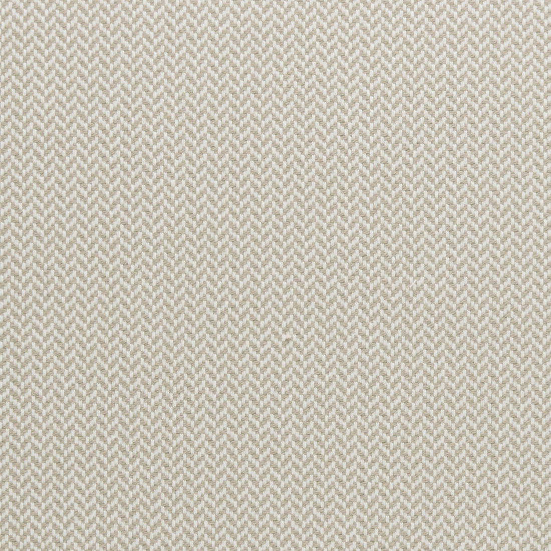 Zalika fabric in natural color - pattern F0963/04.CAC.0 - by Clarke And Clarke in the Clarke &amp; Clarke Amara collection