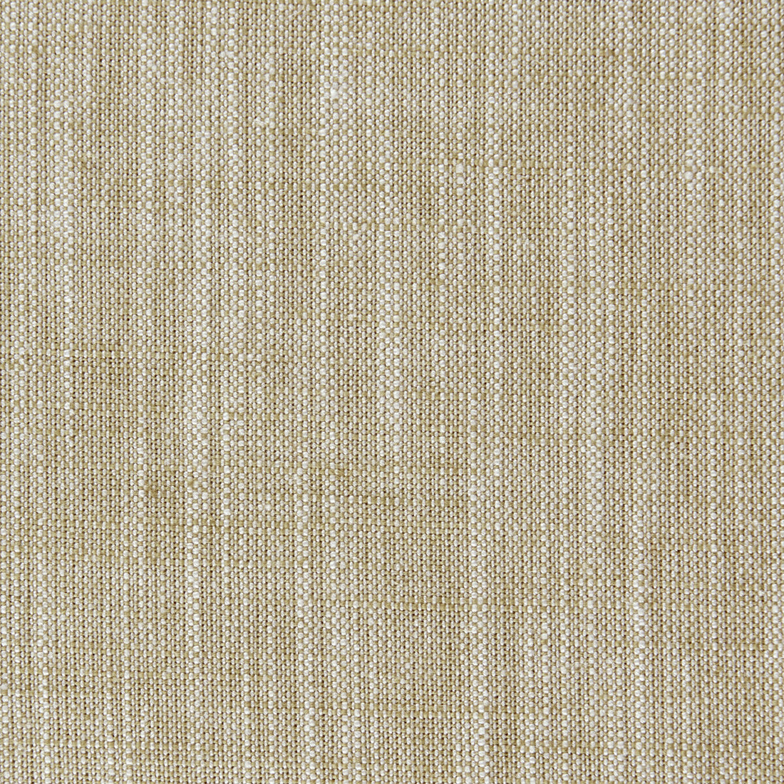 Biarritz fabric in bamboo color - pattern F0965/04.CAC.0 - by Clarke And Clarke in the Clarke &amp; Clarke Biarritz collection