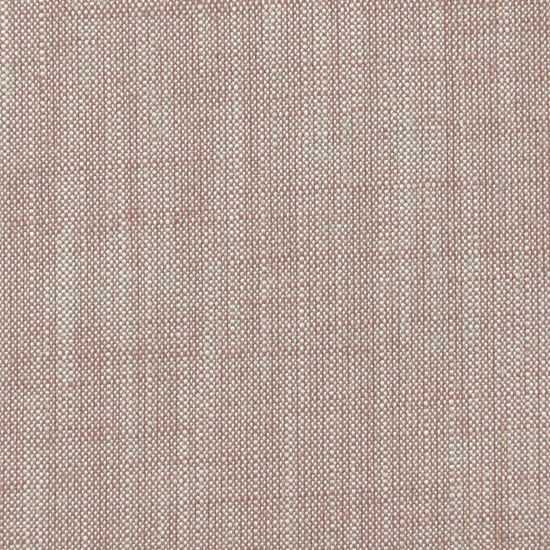 Biarritz fabric in blush color - pattern F0965/05.CAC.0 - by Clarke And Clarke in the Clarke &amp; Clarke Biarritz collection