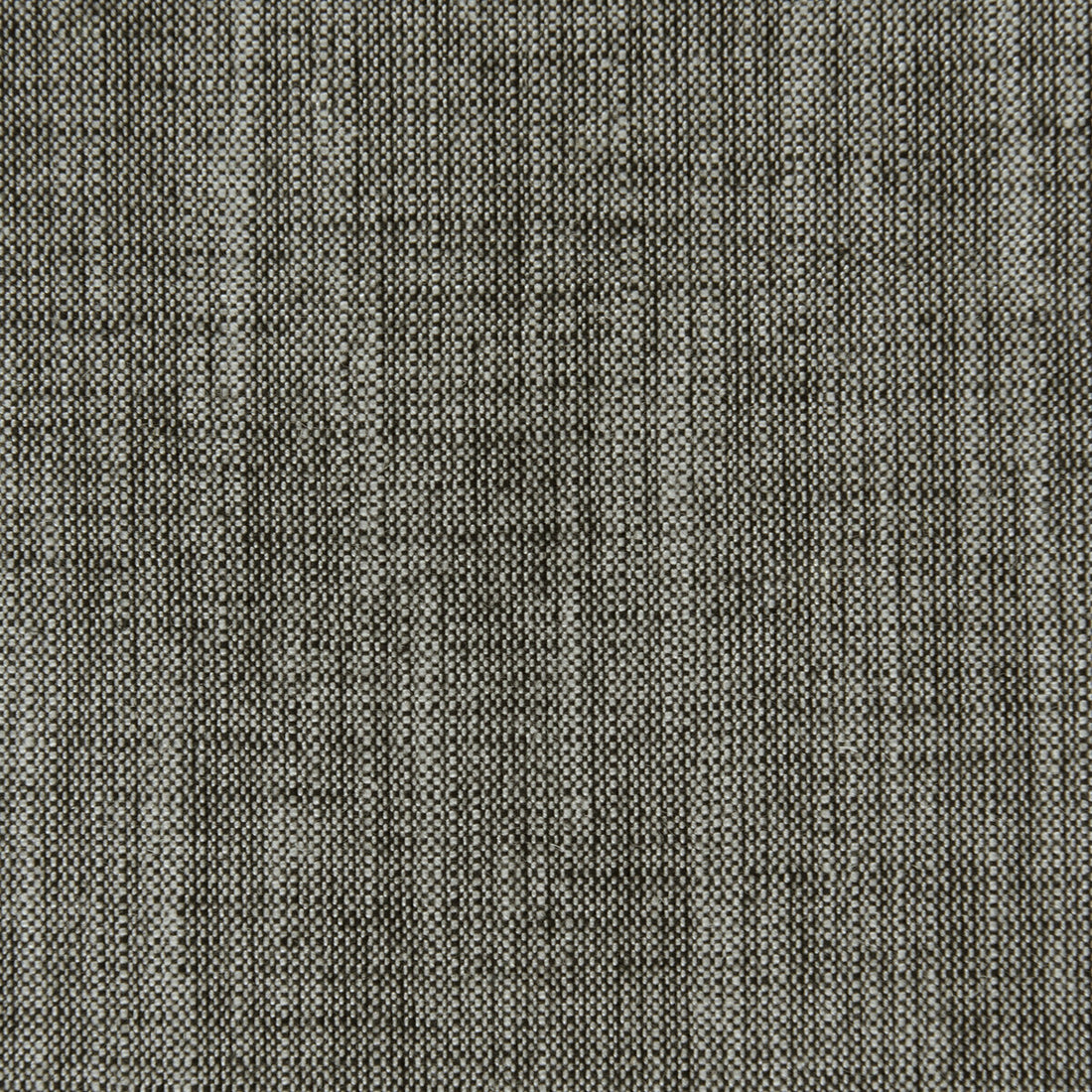 Biarritz fabric in charcoal color - pattern F0965/09.CAC.0 - by Clarke And Clarke in the Clarke &amp; Clarke Biarritz collection