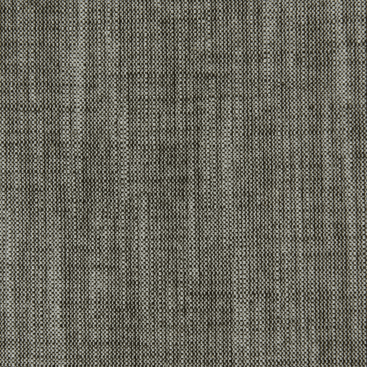 Biarritz fabric in charcoal color - pattern F0965/09.CAC.0 - by Clarke And Clarke in the Clarke & Clarke Biarritz collection