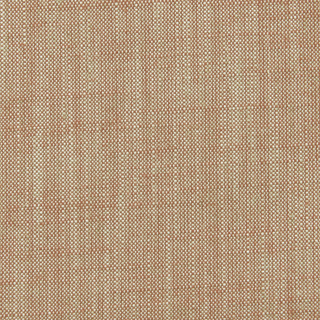 Biarritz fabric in cinnamon color - pattern F0965/10.CAC.0 - by Clarke And Clarke in the Clarke &amp; Clarke Biarritz collection
