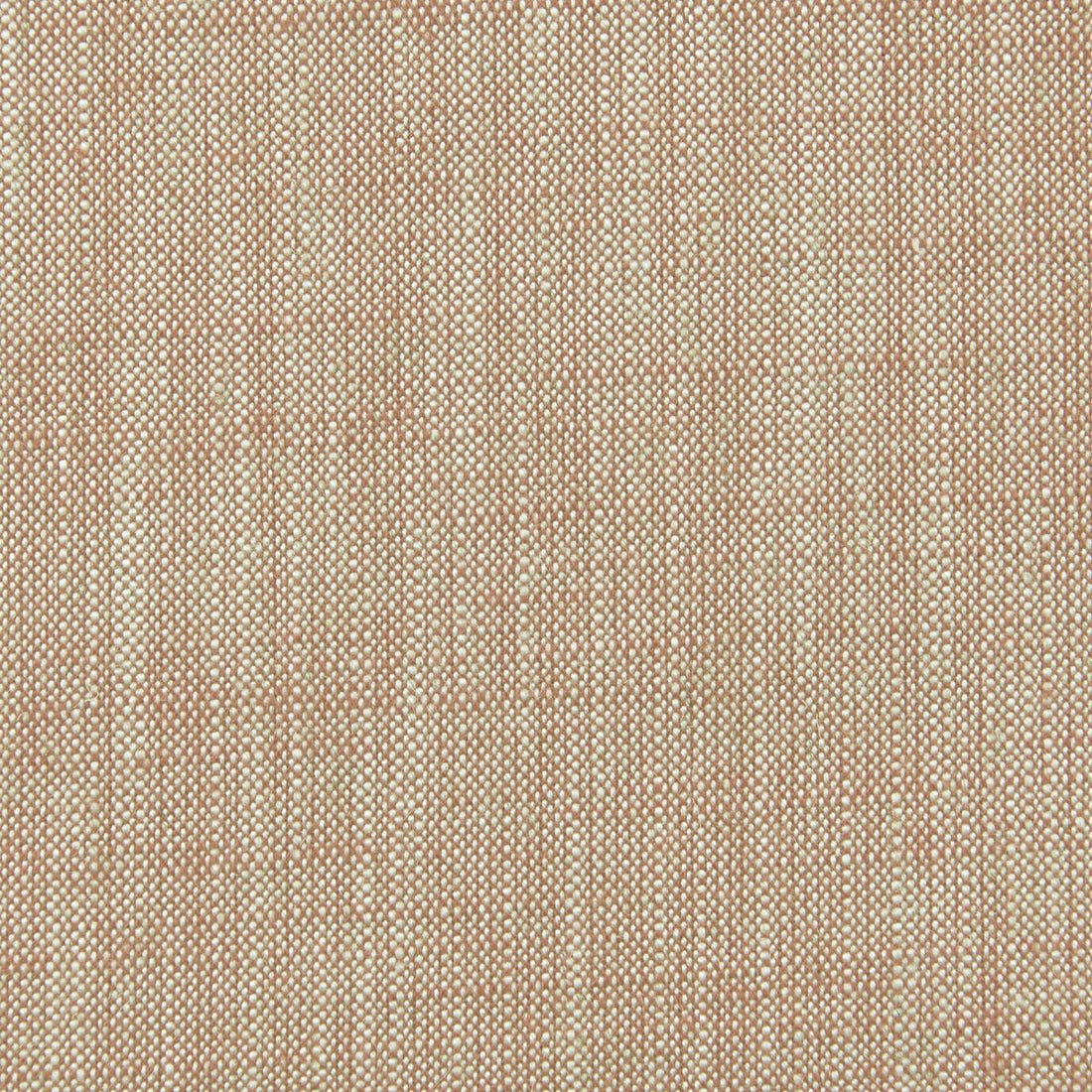 Biarritz fabric in coral color - pattern F0965/13.CAC.0 - by Clarke And Clarke in the Clarke &amp; Clarke Biarritz collection