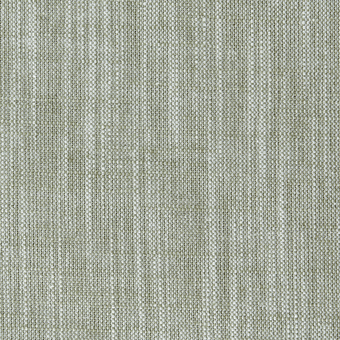 Biarritz fabric in eau de nil color - pattern F0965/15.CAC.0 - by Clarke And Clarke in the Clarke &amp; Clarke Biarritz collection