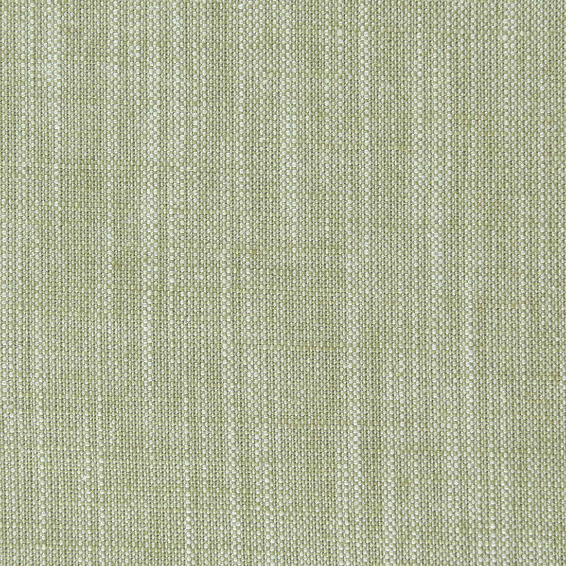 Biarritz fabric in eucalyptus color - pattern F0965/16.CAC.0 - by Clarke And Clarke in the Clarke &amp; Clarke Biarritz collection