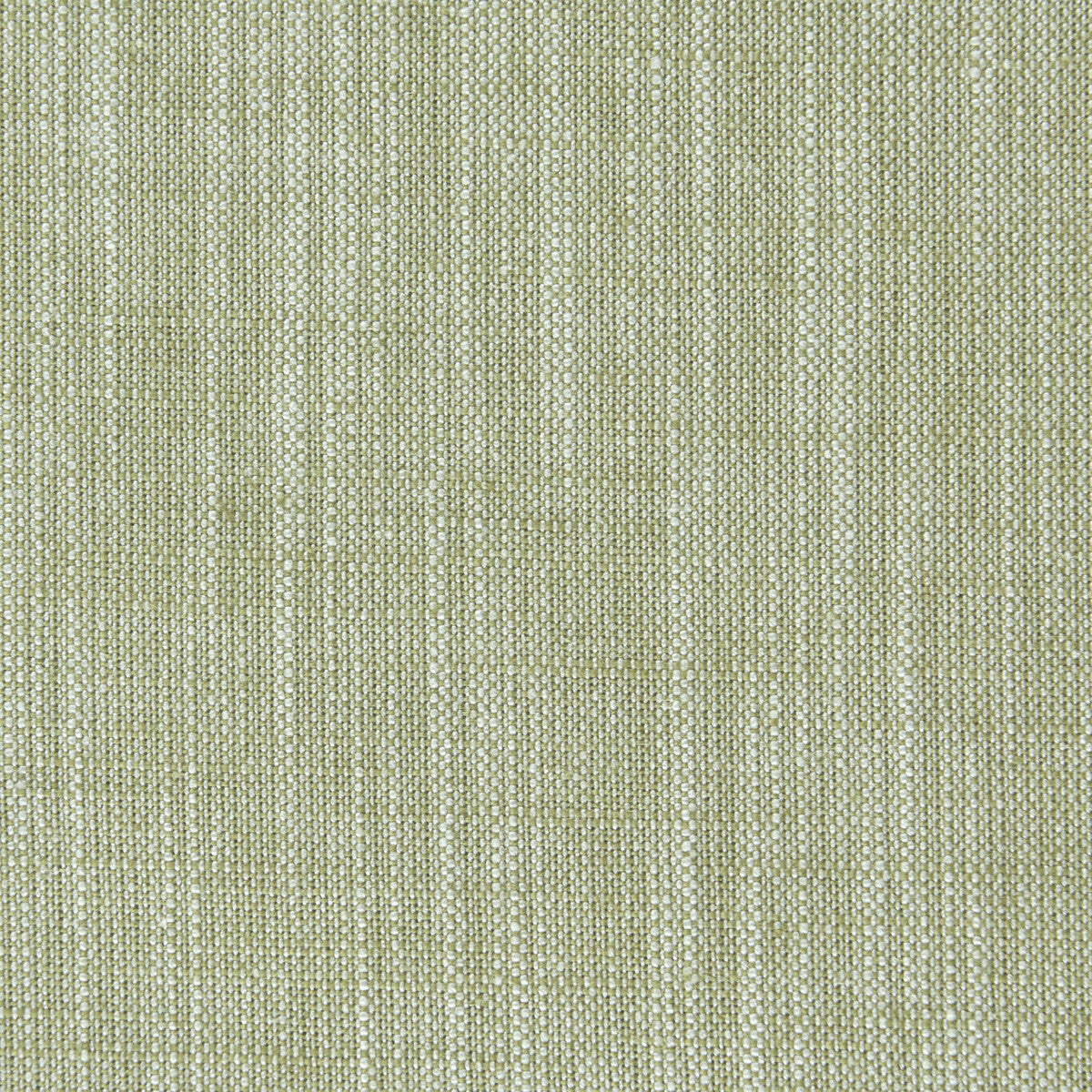 Biarritz fabric in eucalyptus color - pattern F0965/16.CAC.0 - by Clarke And Clarke in the Clarke & Clarke Biarritz collection