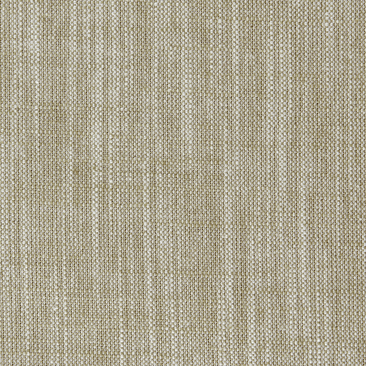 Biarritz fabric in hazel color - pattern F0965/19.CAC.0 - by Clarke And Clarke in the Clarke & Clarke Biarritz collection