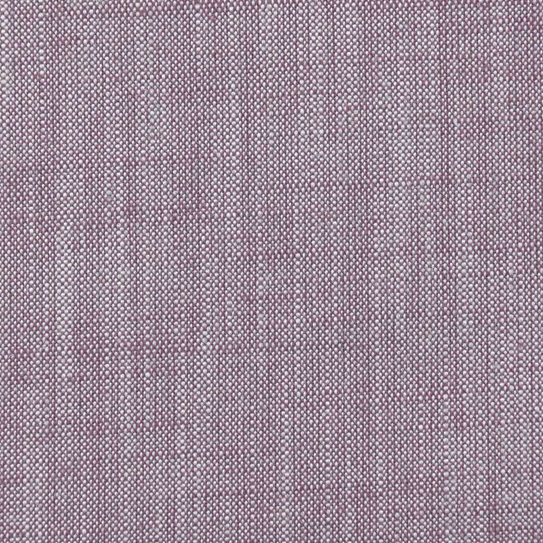 Biarritz fabric in heather color - pattern F0965/20.CAC.0 - by Clarke And Clarke in the Clarke &amp; Clarke Biarritz collection