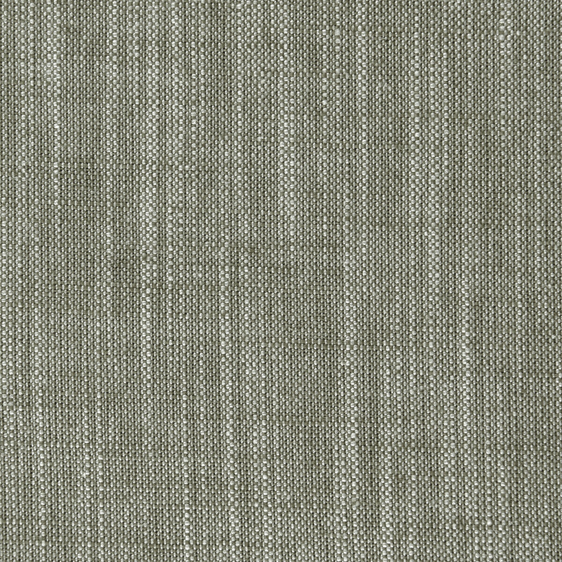 Biarritz fabric in khaki color - pattern F0965/25.CAC.0 - by Clarke And Clarke in the Clarke &amp; Clarke Biarritz collection