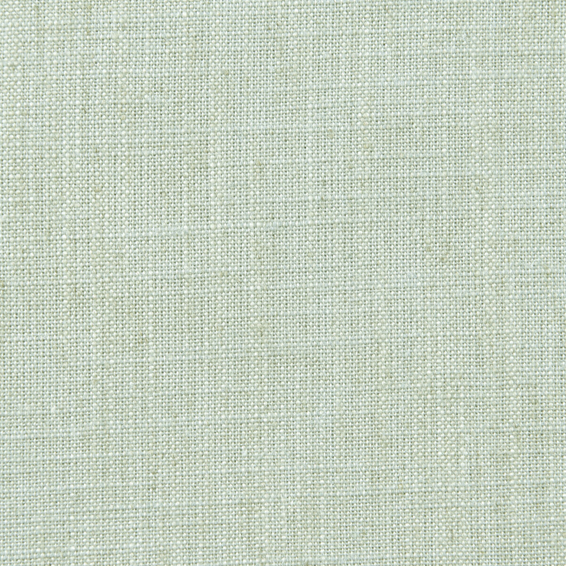 Biarritz fabric in mint color - pattern F0965/29.CAC.0 - by Clarke And Clarke in the Clarke &amp; Clarke Biarritz collection